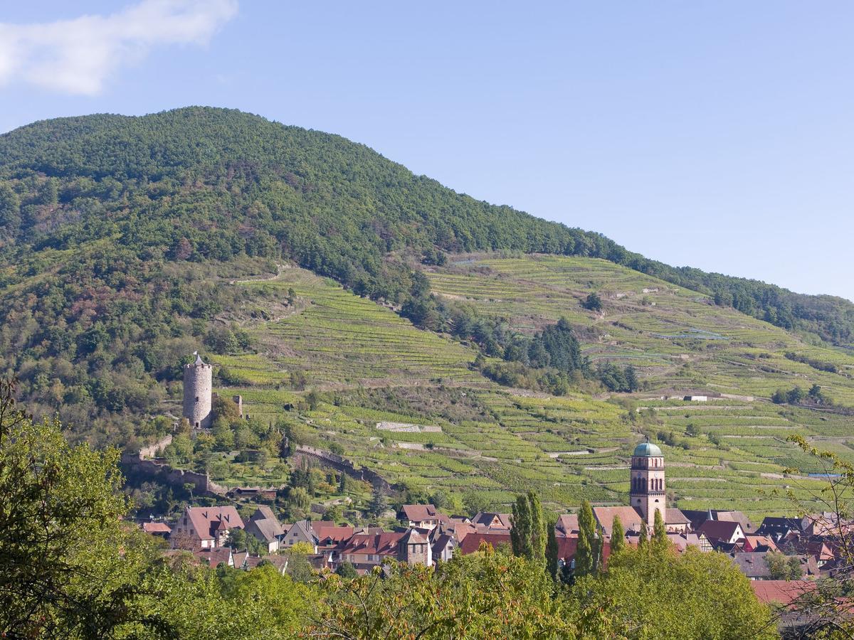 Quaint Chalet In La Bresse With Saunaヴィラ エクステリア 写真